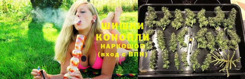 Каннабис марихуана  как найти закладки  Лыткарино 